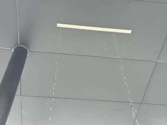 DƬ
